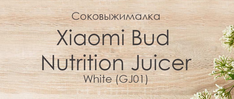 Отличный подарок на 8 марта - Соковыжималка Xiaomi Bud Nutrition