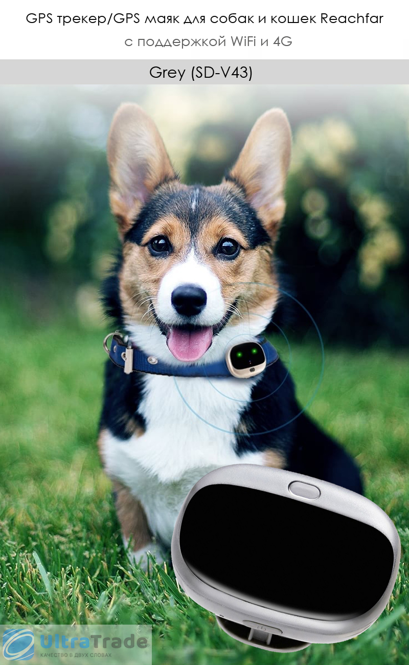 GPS трекер/GPS маяк для собак и кошек Reachfar с поддержкой WiFi и 4G Grey (SD-V43)