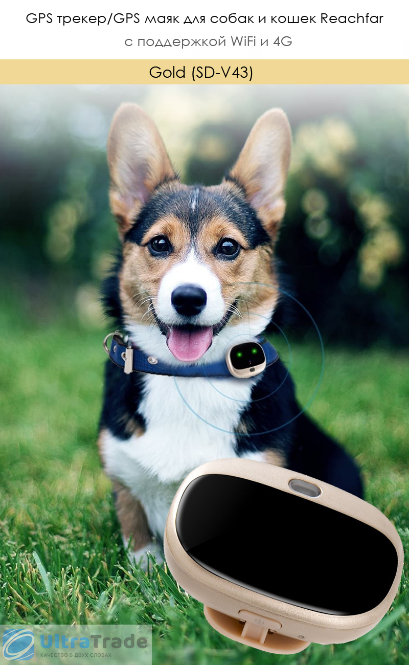 GPS трекер/GPS маяк для собак и кошек Reachfar с поддержкой WiFi и 4G Gold (SD-V43)