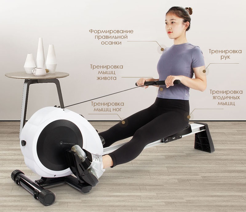 Умные гребные тренажеры Xiaomi Xiao Mo Smart Rowing Machine: обзор версий Pro, Hush, Mini и Basic