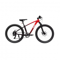 Подростковый велосипед Ninebot Kids Sport Bike 24 дюйма Red (KB24)