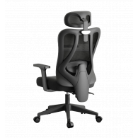 Офисное компьютерное кресло Xiaomi HBADA Ergonomic Computer Office Chair P1-Standard Model-Fixed Armrest (Фиксированные подлокотники) (E101BLF)