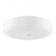 Потолочный светильник Xiaomi Yeelight Meteorite Induction Ceiling Lamp Mini (YLXD09YL)