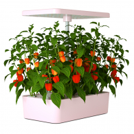 Экоферма для выращивания растений Xiaomi Shenpu Indoor Hydroponik Smart Garden SP-SG18 Pink