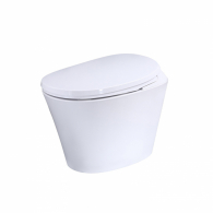 Умный унитаз YouSmart Intelligent Toilet White (R500D)