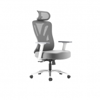 Офисное кресло Xiaomi HBADA Computer Ergonomic Gaming Chair P5 White Standard Version (P501) (без подставки для ног)
