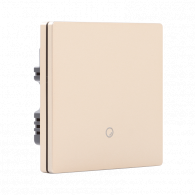 Умный настенный выключатель Xiaomi Ptxzn Smart Switch A6 Gold (одиночный с нулевой линией)