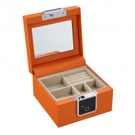 Электронный сейф для ювелирных украшений Xiaomi CRMCR Smart Fingerprint Jewelry Safe Orange (BGX-X1-2021A)