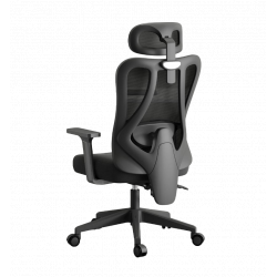 Офисное компьютерное кресло Xiaomi HBADA Ergonomic Computer Office Chair P1-Standard Model-Fixed Armrest (Фиксированные подлокотники) (E101BLF)