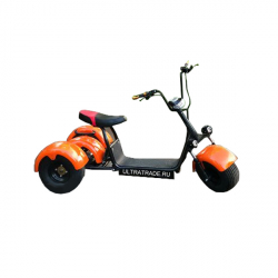 Трицикл Citycoco HARLEY Оранжевый (Максимальный комплект)