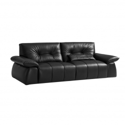 Диван на 2 места Xiaomi Linsy Two Seat Leather Sofa For Living Room 2780 mm Black (PS777-A)