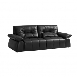 Диван на 2 места Xiaomi Linsy Two Seat Leather Sofa For Living Room 2480 mm Black (PS777-A)