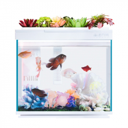 Умный Аквариум Xiaomi Geometry AI Smart Modular Fish Tank Amphibious Edition 30L (HF-JHYG006)