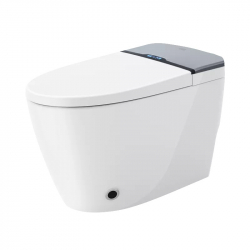 Умный унитаз Xiaomi Diiib Double Engine Supercharged Smart Toilet Leap Crescent Version 305 mm (DXMT012-305)