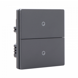 Умный настенный выключатель Xiaomi Ptxzn Smart Switch A6 Black  (двойной с нулевой линией)