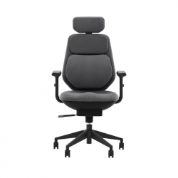 Умное офисное кресло Xiaomi Backrobo Intelligent Pneumatic Waist Support Office Chair Classic Black (C1X)