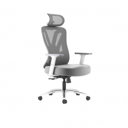 Офисное кресло Xiaomi HBADA Computer Ergonomic Gaming Chair P5 White Standard Version (P501) (без подставки для ног)