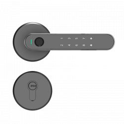 Умный замок для межкомнатной двери Xiaomi Arkfish Smart Room Door Lock S5 Single Split Standard Version