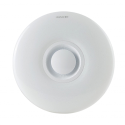 Умный потолочный светильник Xiaomi HuiZuo Black Star Space Tianma Smart Star Vibe Round 400 мм 24W (IX181)