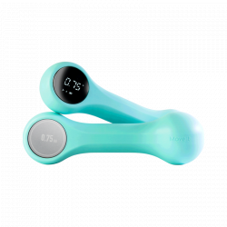 Умные гантели Xiaomi Move It Beat 0.5 kg Tiffany (MVDB011)