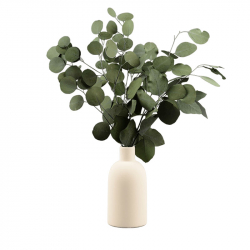 Цветочная композиция Xiaomi Fun Home Flower Arrangement Eucalyptus