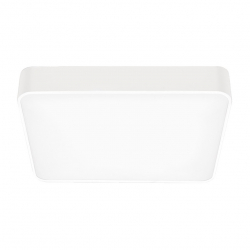 Потолочный светильник Xiaomi Yeelight Led Ceiling Lamp Plus White 500mm (YLXD10YL)