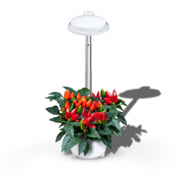 Экоферма для выращивания растений Xiaomi Shenpu Indoor Hydroponik Smart Garden White (SP-SG22)
