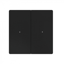 Умный настенный выключатель Xiaomi Ptxzn Smart Switch X6 Black (PTX-X62) (двухклавишный с нулевой линией)