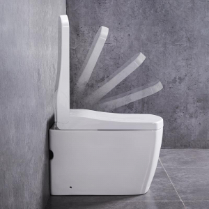 Умный унитаз YouSmart Intelligent Toilet White S300 (обновленная версия с насосом) - фото 5