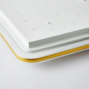 Умный потолочный светильник Xiaomi HuiZuo White Bon Temps Rectangular 960 мм Fragrant Gold