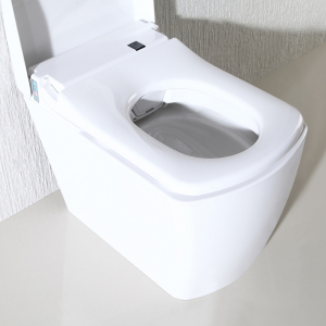Умный унитаз с голосовым управлением YouSmart Voice Intelligent Toilet White (S300) - фото 5