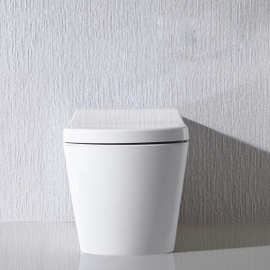 Умный унитаз с голосовым управлением YouSmart Voice Intelligent Toilet White (S300) - фото 8