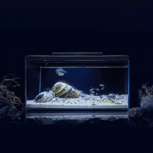 Умный аквариум с оформлением Xiaomi Petkit Origin Intelligent Fish Single Cylinder with Landscape Quiet Stone Set 10L - фото 2