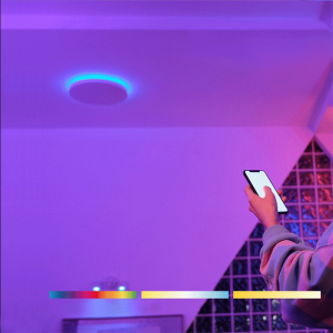 Умный потолочный светильник Xiaomi Yeelight Arwen Ceiling Light 550S (YLXD013-A) - фото 5