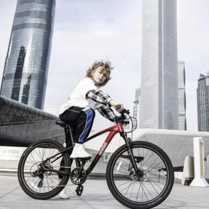 Подростковый велосипед Ninebot Kids Sport Bike 24 дюйма Red (KB24)