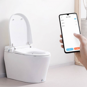 Умный унитаз Xiaomi Smartmi Smart Toilet All-in-One M1 300 mm (ZNMYY01ZM-300) - фото 3