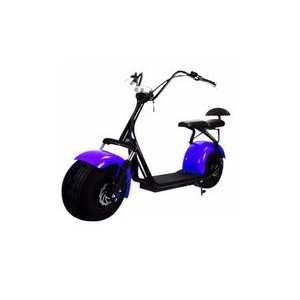 

Скутеры Citycoco HARLEY, EL-Sport CITYCOCO/ HARLEY 1500w Blue (LUX)+ съёмный аккумулятор