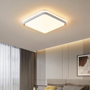 Потолочный светильник Xiaomi Huayi Nordic Minimalist Ceiling Lamp Circle 30+30W - фото 4