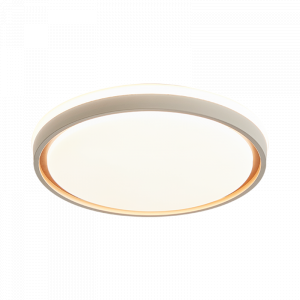 Потолочный светильник Xiaomi Huayi Nordic Minimalist Ceiling Lamp Circle 30+30W