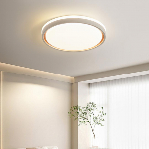 Потолочный светильник Xiaomi Huayi Nordic Minimalist Ceiling Lamp Circle 30+30W - фото 2