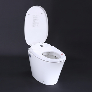 Умный унитаз YouSmart Intelligent Toilet White (R500D) - фото 4