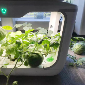 Экоферма для выращивания растений Xiaomi Tiny Green Intelligent Ecological Planter 15 Holes - фото 5