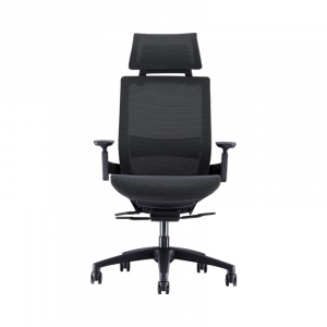 Ортопедическое офисное кресло Xiaomi Youran No.1 Ergonomic Chair 8H Efficiency Black