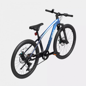 Подростковый велосипед Ninebot Kids Sport Bike 24 дюйма Blue (KB24)