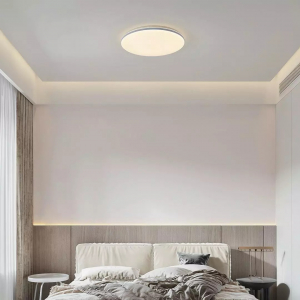 Умный потолочный светильник Xiaomi HuiZuo Nordic Series Intelligent Ceiling Lamp Round 24W Elephant Tooth Brown 500mm