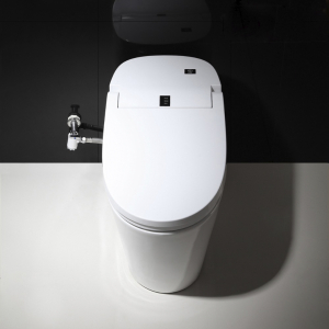 Умный унитаз YouSmart Intelligent Toilet With Water Tank White (E200) - фото 2