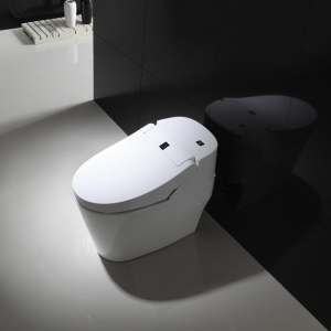 Умный унитаз YouSmart Intelligent Toilet With Water Tank White (E200) - фото 3
